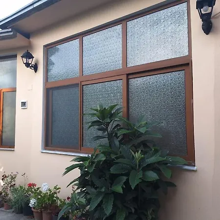 Flower House Apartmán