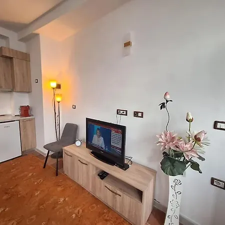 Apartmán Flower House *