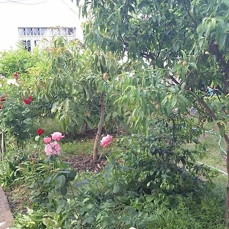 Apartmán Flower House *